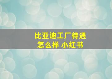 比亚迪工厂待遇怎么样 小红书